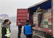 开云APP-河北省非洲猪瘟防控工作会议在石家庄召开